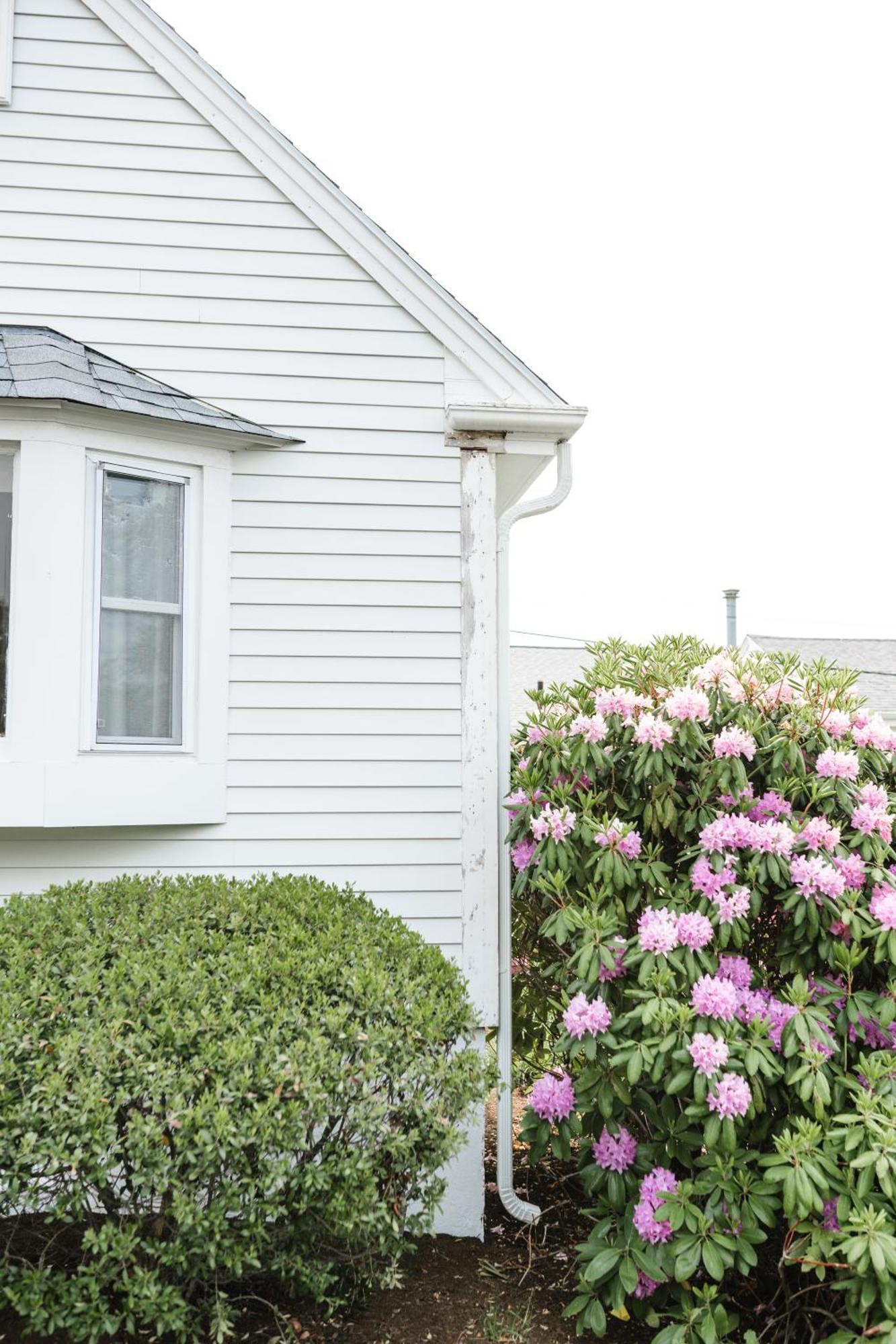 Greyfinch Chatham Inn 외부 사진